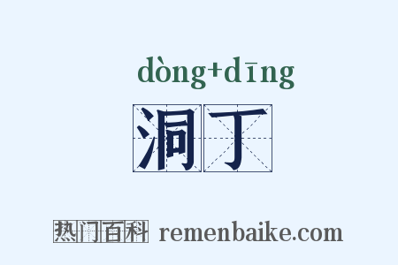 洞丁是什么意思的图片